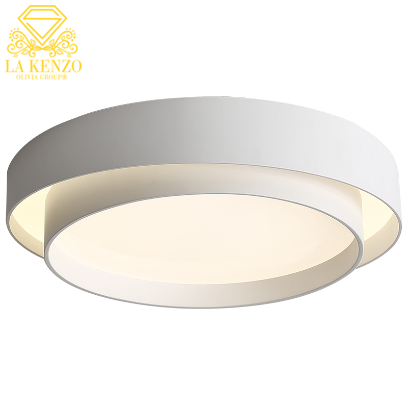 Ceiling Light