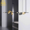 Ceiling Lamps
