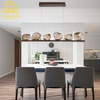 Ceiling Lamps